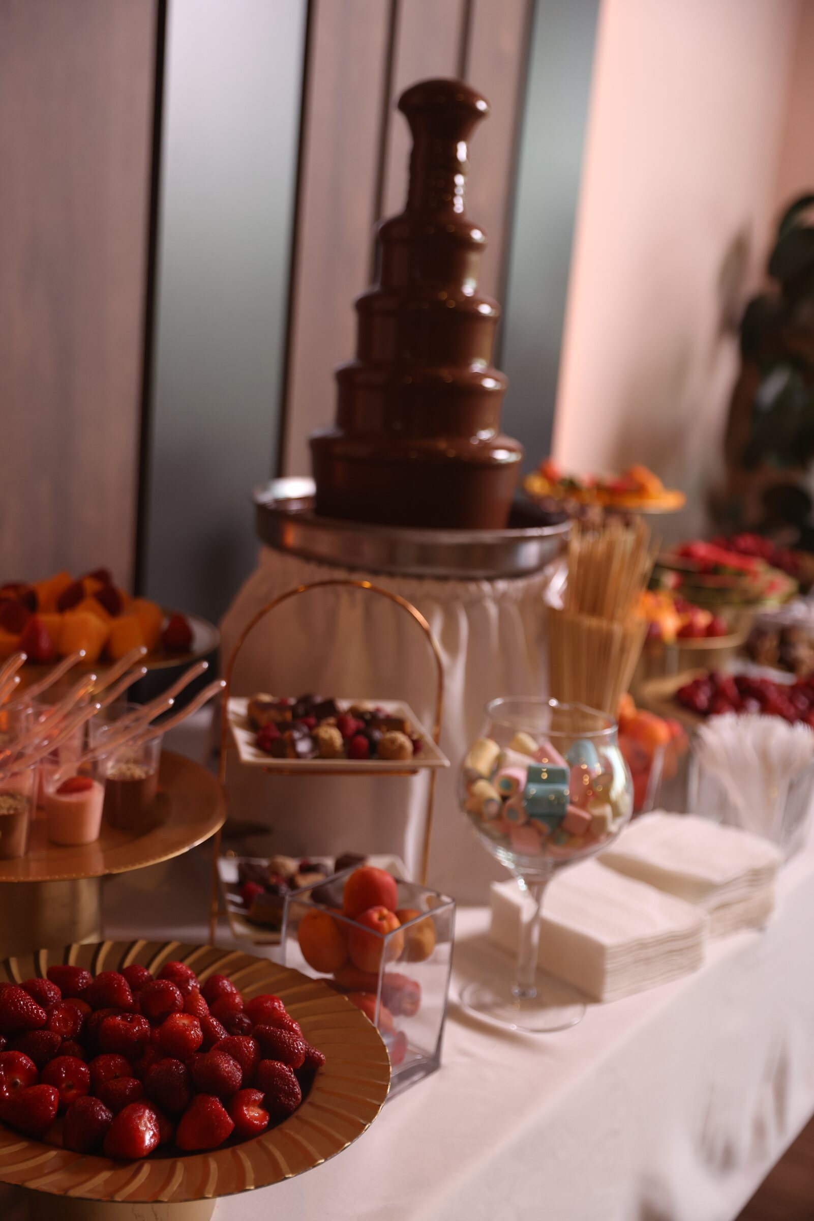 Fontanë Çokollate photo 17