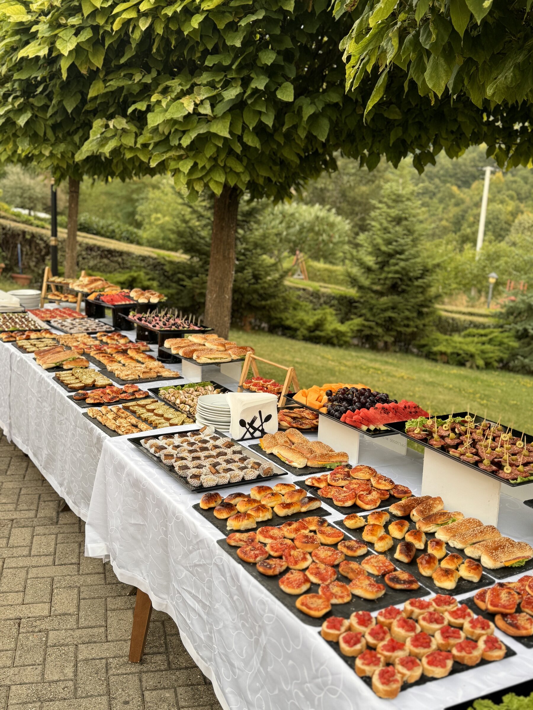 Dasmë setup photo 33